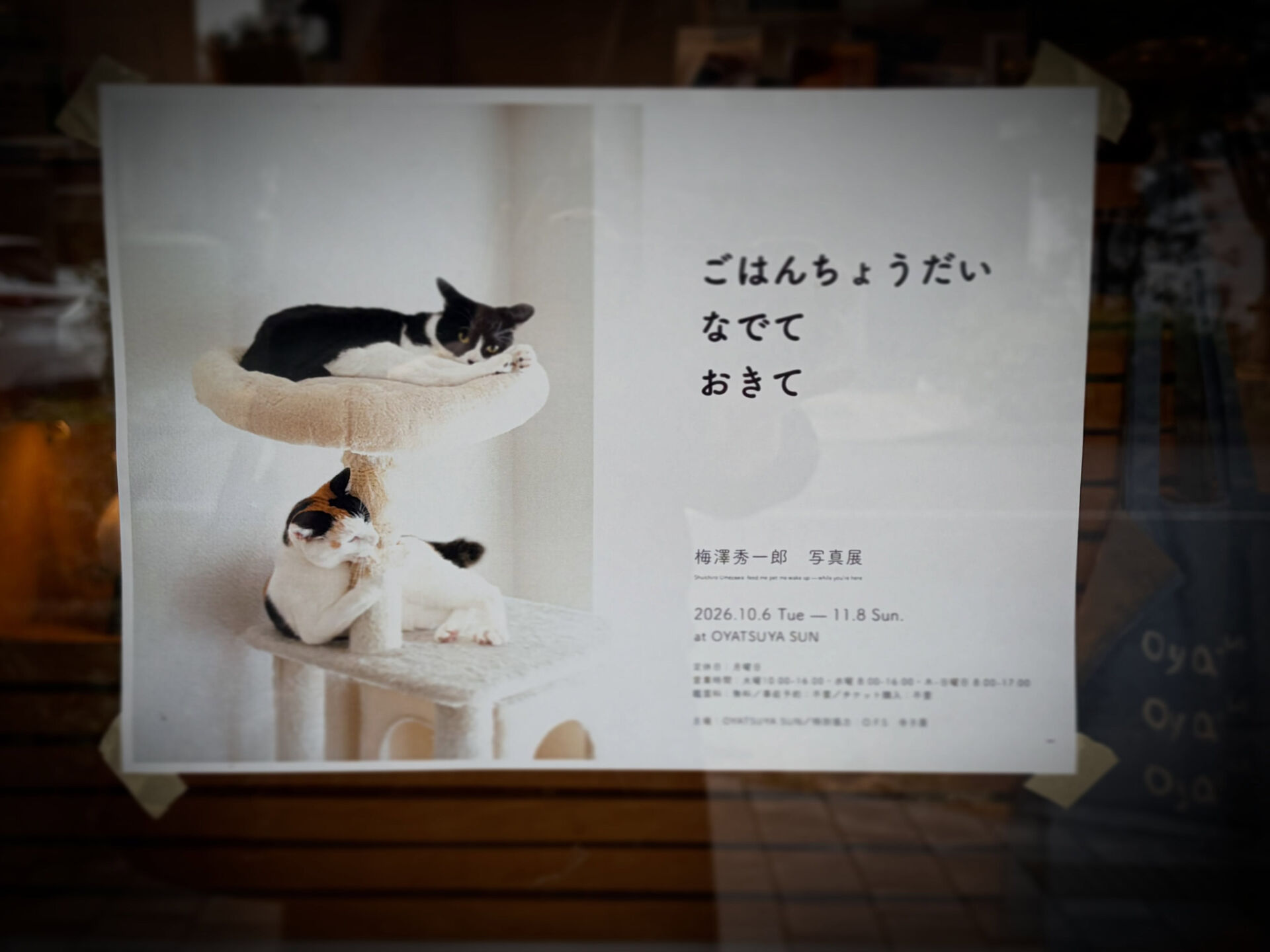 昨日の出張先で昼散歩中にたまたま見つけたかわいい